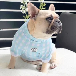 Seafoam Snuggles Dog Skivvie (Limited Edition)