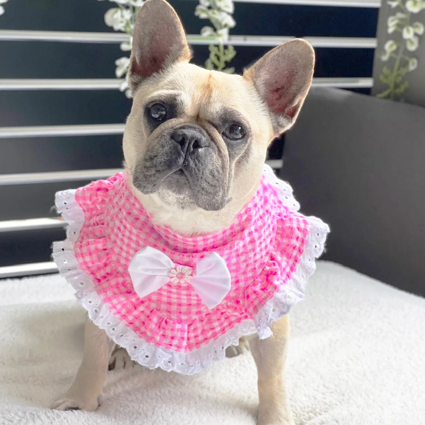 Seersucker Gingham Bandana