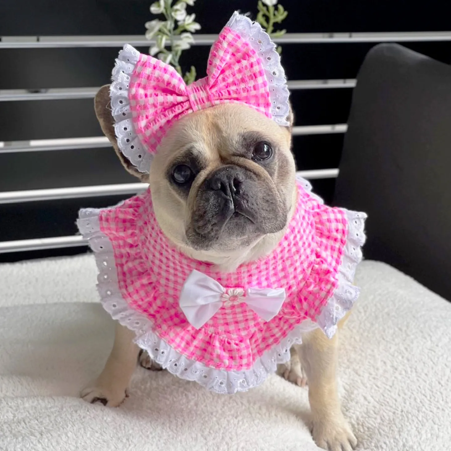 Seersucker Gingham Bandana