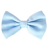 Sky Blue - Bow Tie