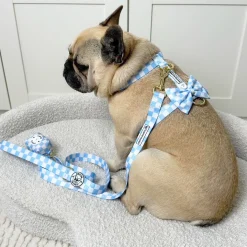 Sky Blue Check - Luxe Dog Lead
