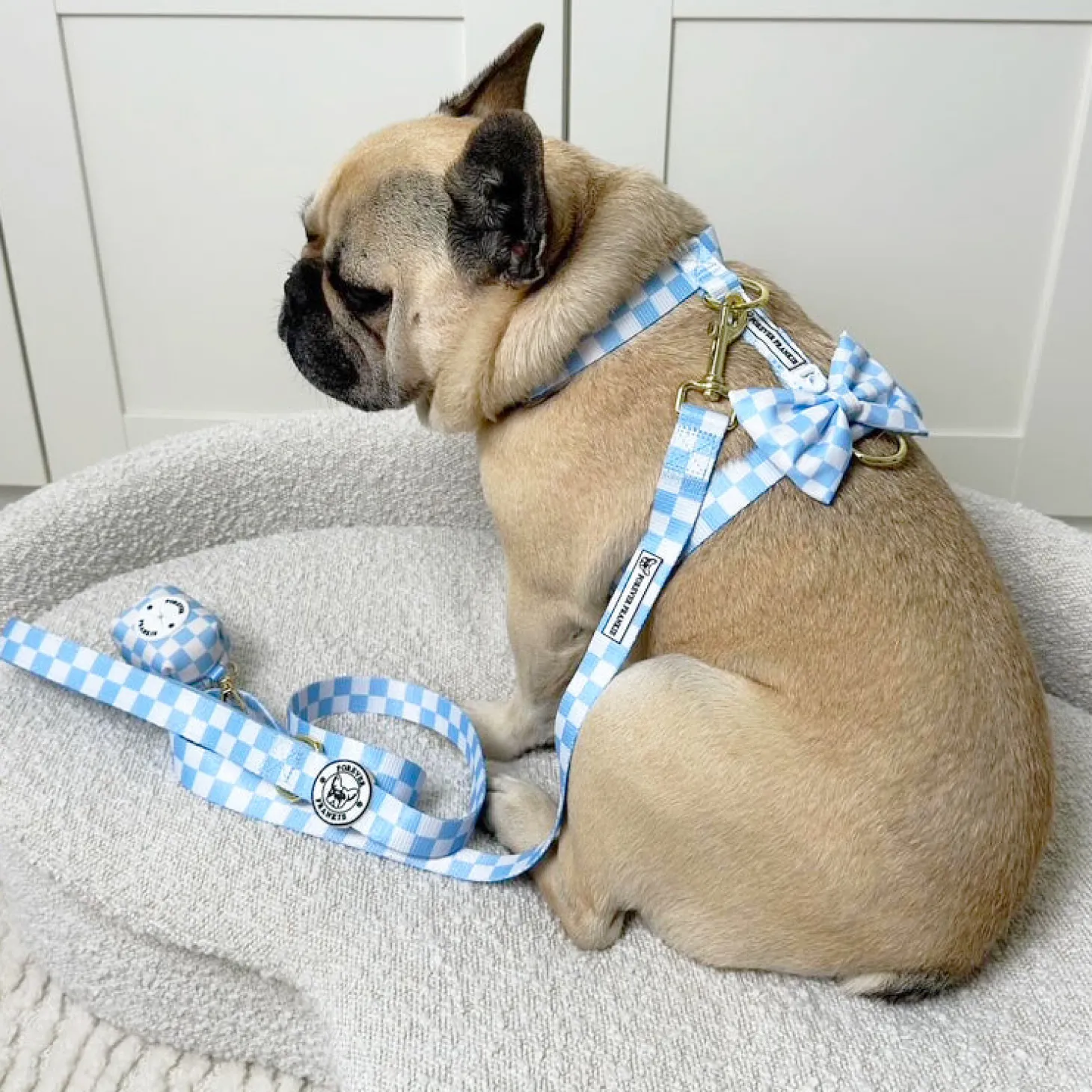 Sky Blue Check - Luxe Strap Harness