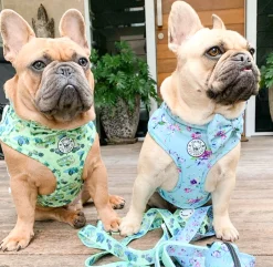 Spring Butterfly - Adjustable Harness