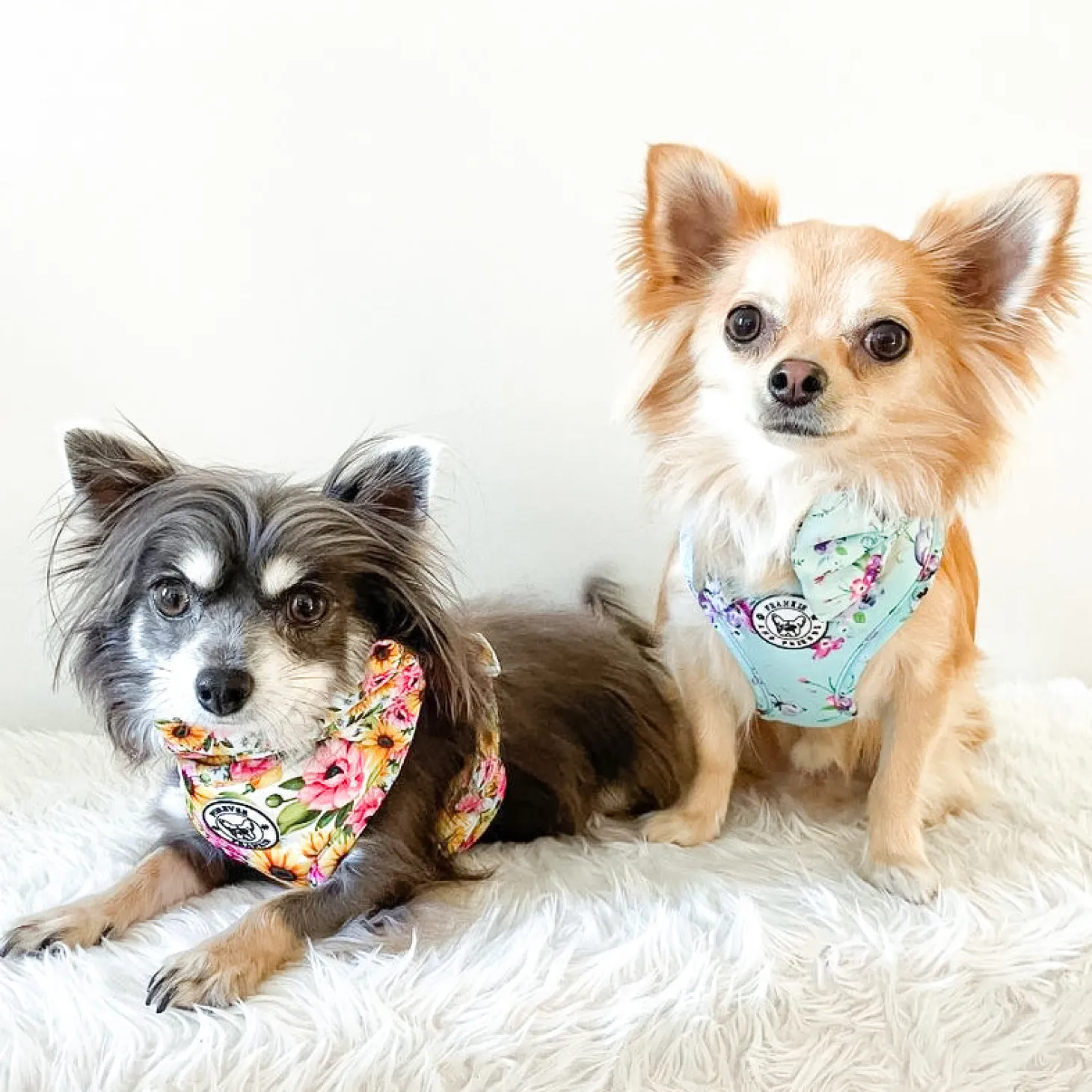 Spring Butterfly - Adjustable Harness