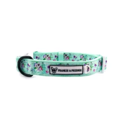 Spring Butterfly - Collar