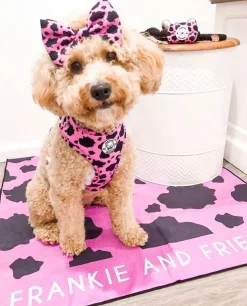 Strawberry Milk - Bow Tie - End Of Line