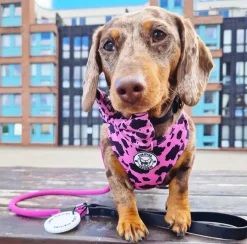 Strawberry Milk - Bow Tie - End Of Line