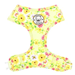 Summer Fling - Adjustable Harness