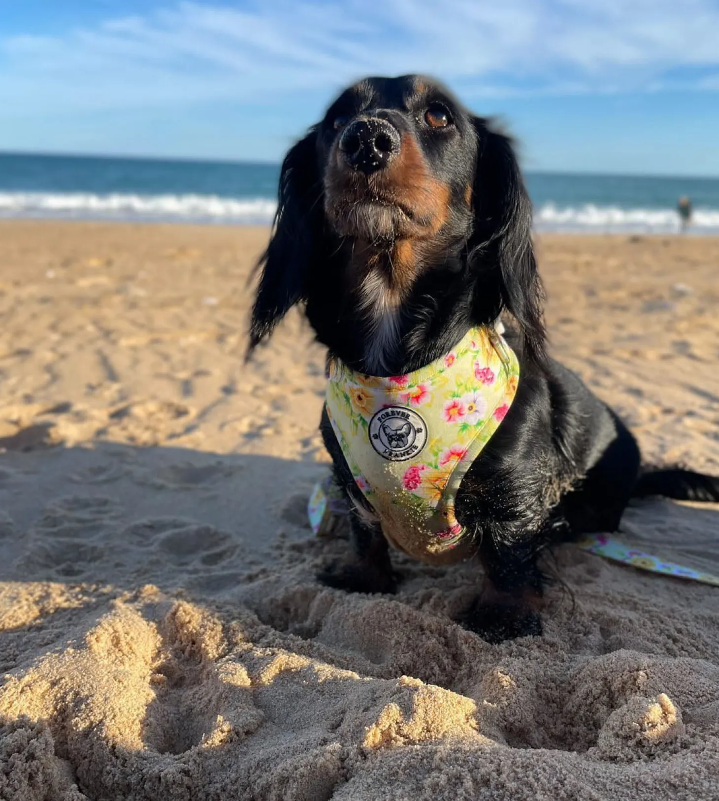 Summer Fling - Adjustable Harness