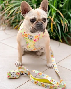 Summer Fling - Adjustable Harness