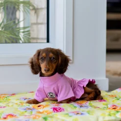 Summer Fling - Adventure Mat