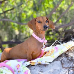 Summer Fling - Beach & Bath Towel