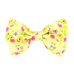 Summer Fling - Bow Tie