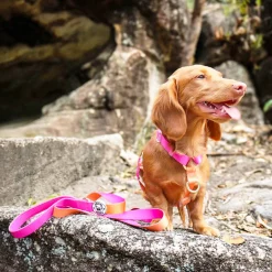 Sunset - Luxe Strap Harness