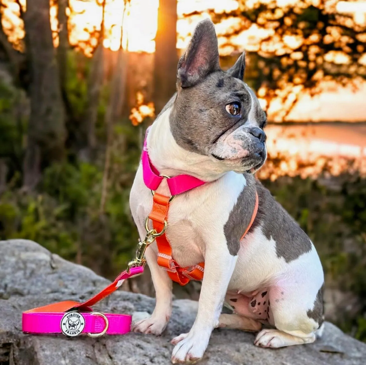 Sunset - Luxe Strap Harness