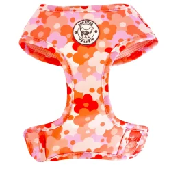 Sunset Bloom - Adjustable Harness