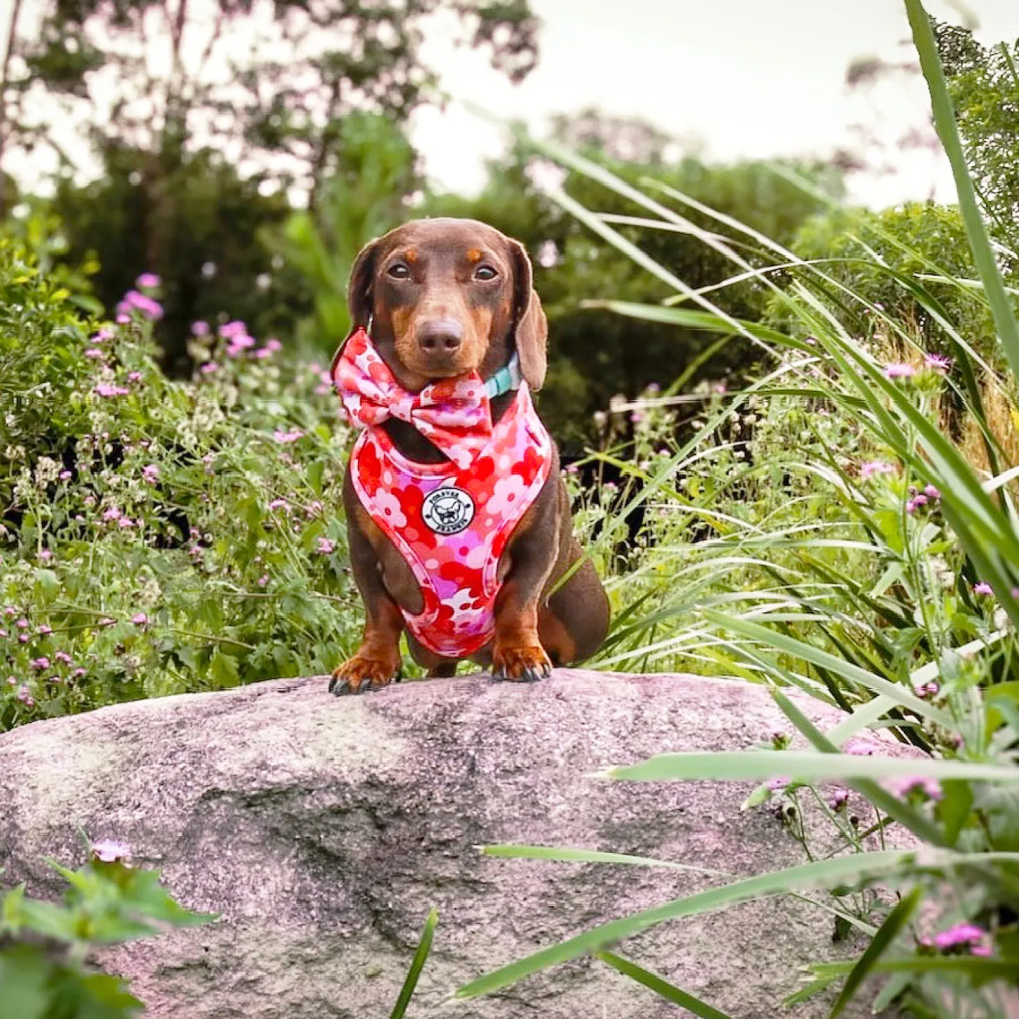Sunset Bloom - Adjustable Harness