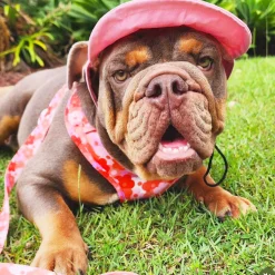 Sunset Bloom - Adjustable Harness