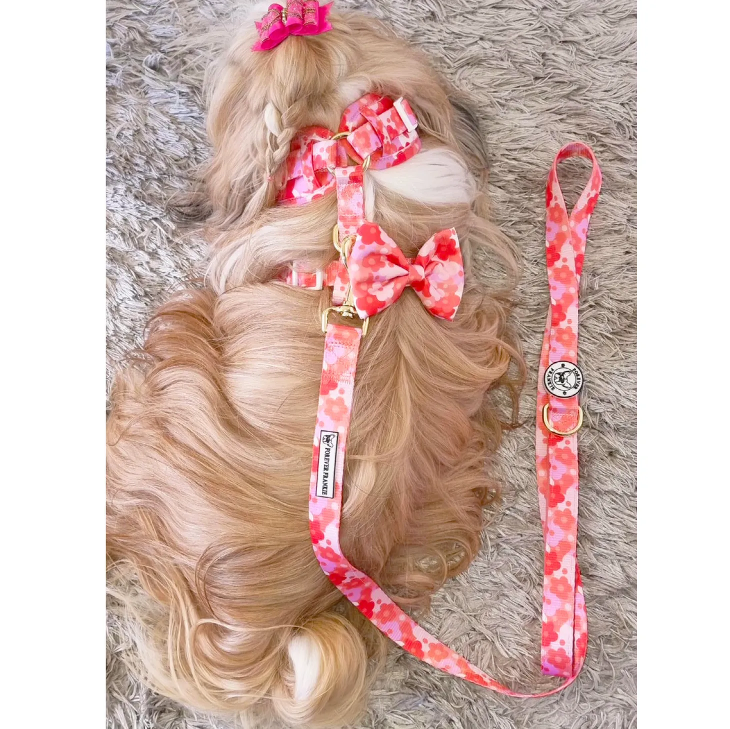 Sunset Bloom - Adjustable Harness