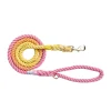 Sunset Ombré - Rope Dog Lead