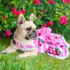 Sweet Cherry - Ruffle Dog Dress with bow (Limited Edition)