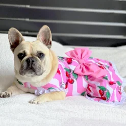 Sweet Cherry - Ruffle Dog Dress with bow (Limited Edition)
