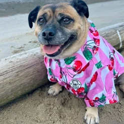 Sweet Cherry - Party Shirt