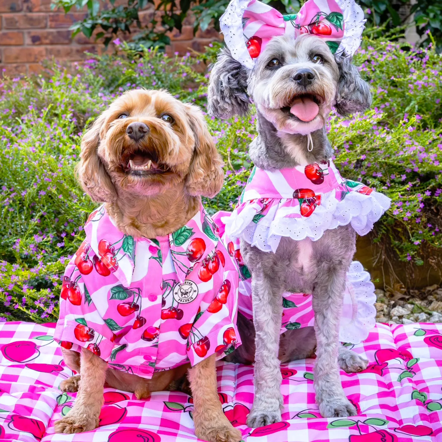 Sweet Cherry - Party Shirt