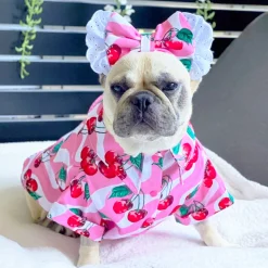 Sweet Cherry - Party Shirt