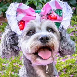 Sweet Cherry with lace - Head Bow (Limited Edition)