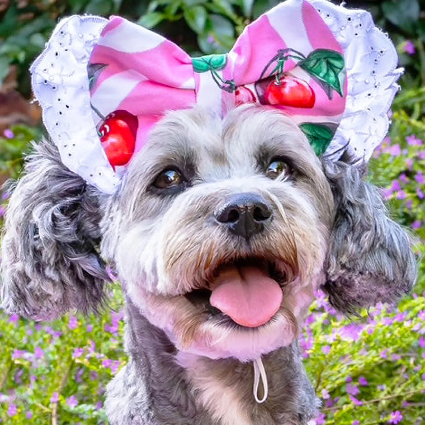 Sweet Cherry with lace - Head Bow (Limited Edition)