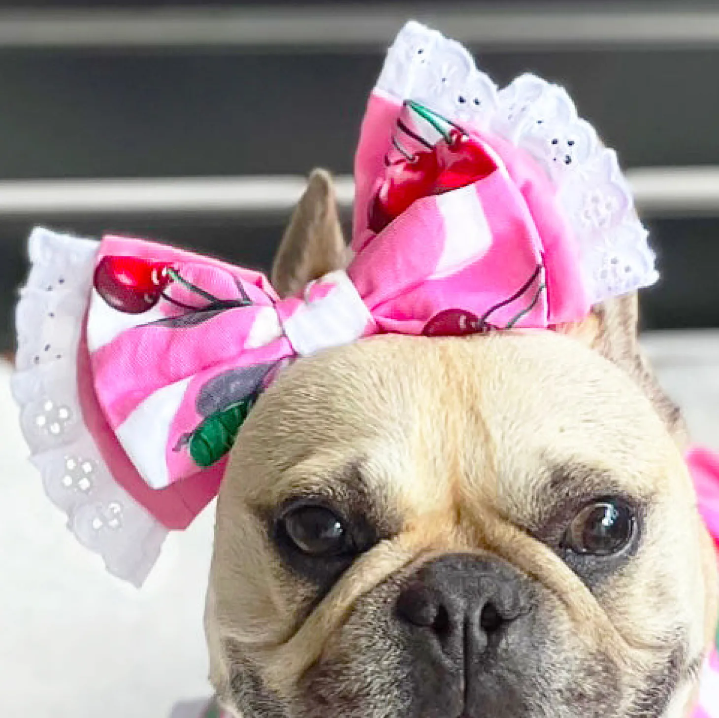 Sweet Cherry with lace - Head Bow (Limited Edition)