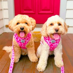 Sweethearts - Adjustable Harness