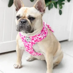 Sweethearts - Adjustable Harness