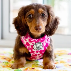 Sweethearts - Adjustable Harness