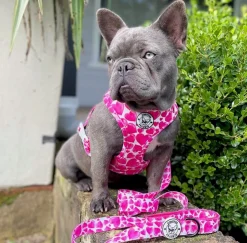 Sweethearts - Adjustable Harness