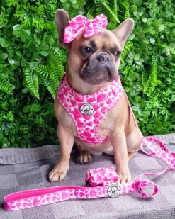 Sweethearts - Adjustable Harness