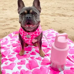 Sweethearts - Adventure Mat