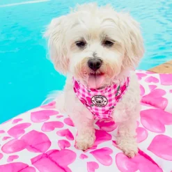 Sweethearts - Adventure Mat