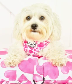 Sweethearts - Adventure Mat