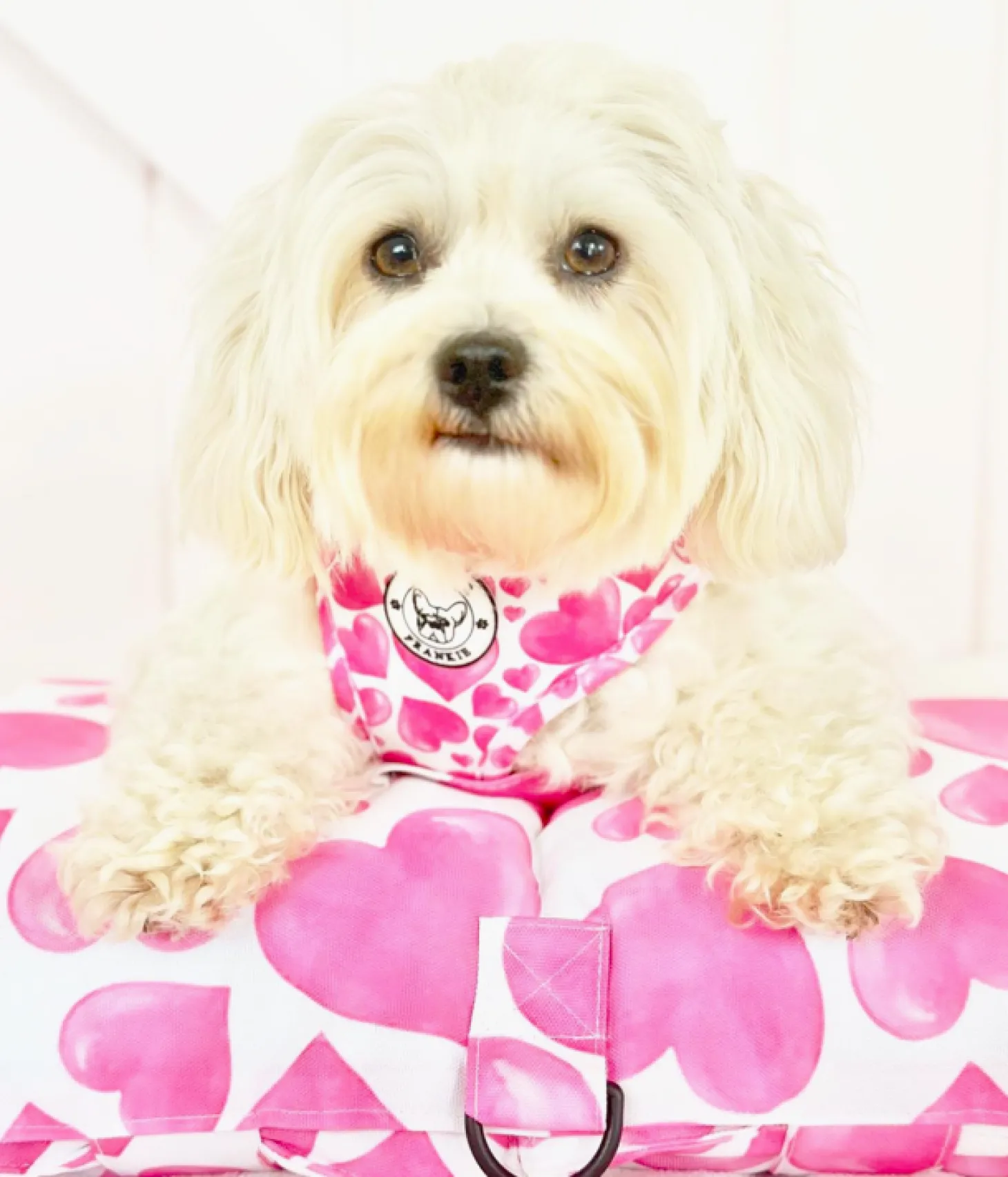 Sweethearts - Adventure Mat