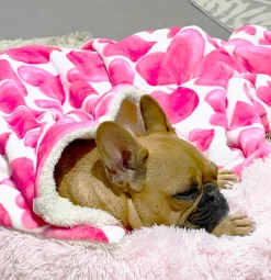 Sweethearts - Extra Soft Pet Blanket