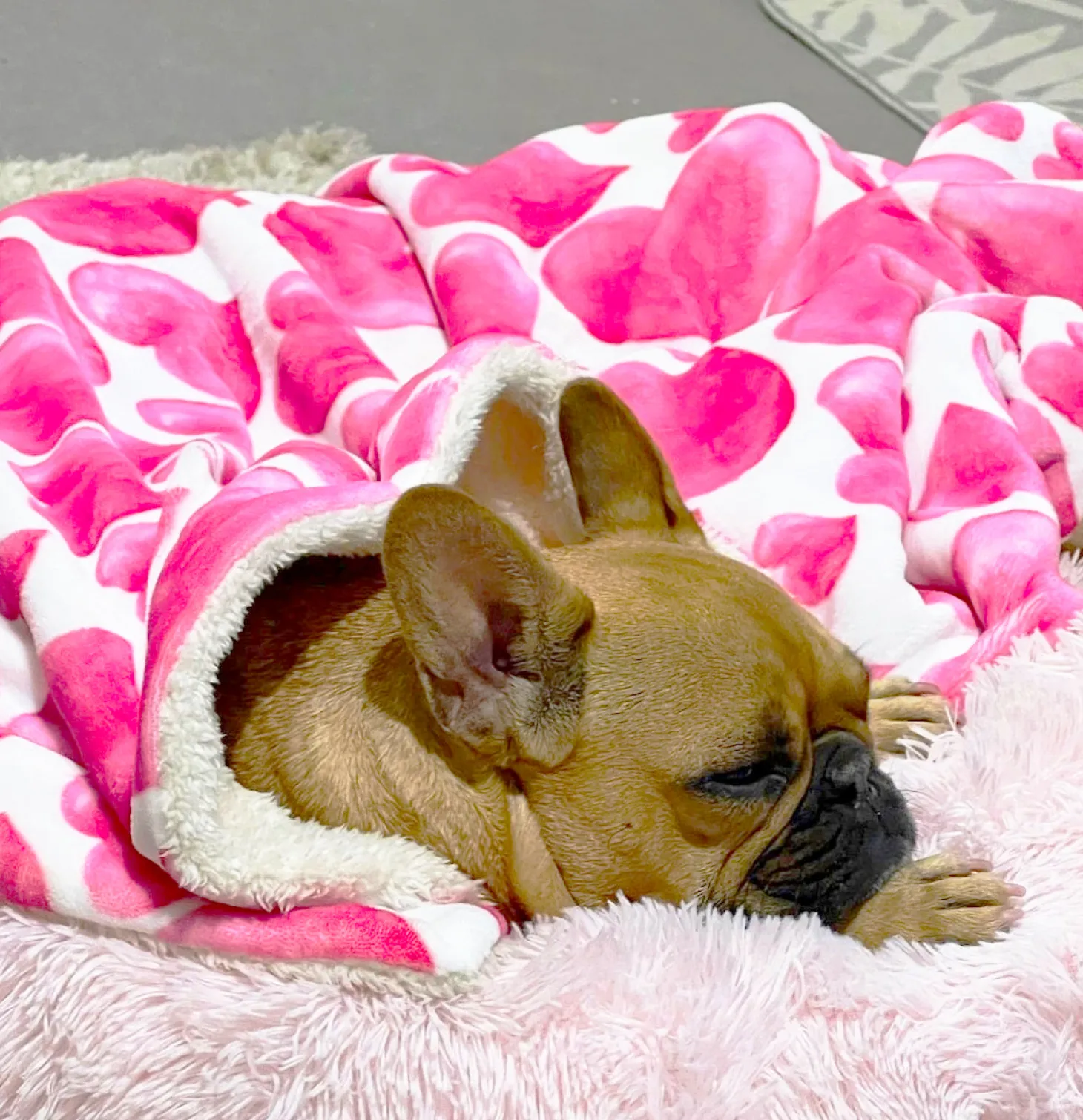 Sweethearts - Extra Soft Pet Blanket