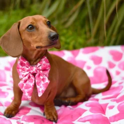 Sweethearts - Sailor Bow Tie