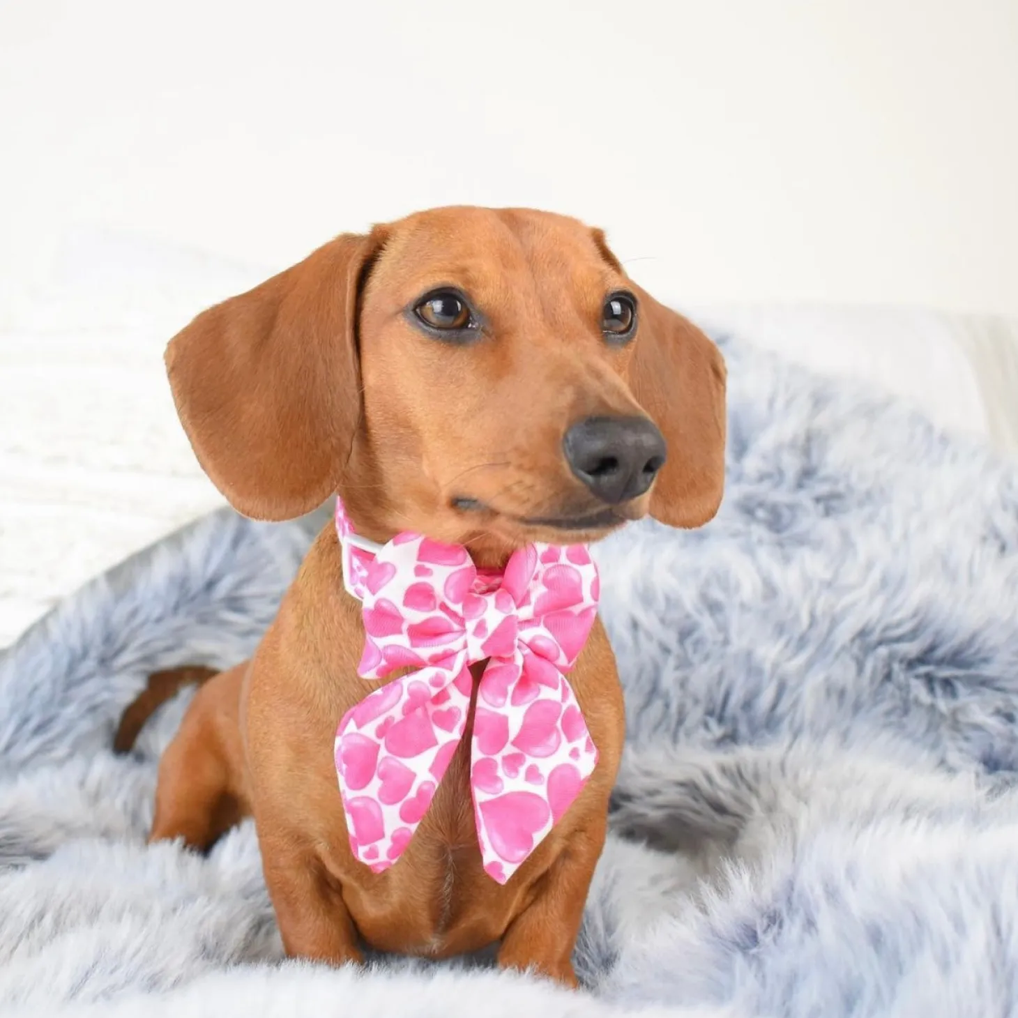 Sweethearts - Sailor Bow Tie