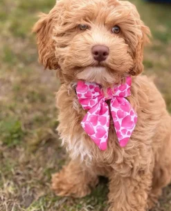 Sweethearts - Sailor Bow Tie