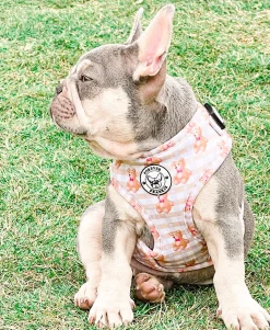 Teddy Bears Picnic - Adjustable Harness - End Of Line