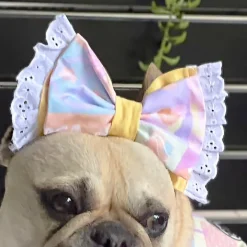 Tutti Fruiti Surprise with lace - Head Bow (Limited Edition)