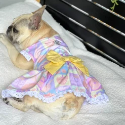 Tutti Frutti Surprise - Ruffles Dog Dress with bow (Limited Edition)