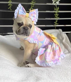Tutti Frutti Surprise - Ruffles Dog Dress with bow (Limited Edition)
